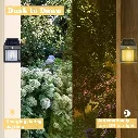 02_33341811-1edc-4ad7-ae22-d01eca4a5c8c.webp