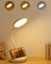 Plastic Dual Battery Rechargeable LED Desk Lamp